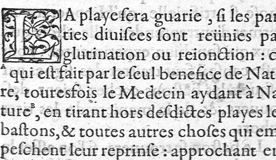 An illustration from Le sommaire de toute la chirurgie, contenant six livres. Composez en Latin par M. Estienne Gormelen Docteur en Medecine et traduitz en François par M. André Malesieu Chirurgien à Paris, 1571, leaf 72