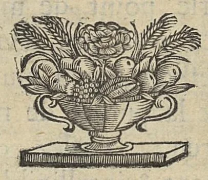 An illustration from Nouvelles experiences sur la vipere, ou l'on verra une description exacte de toutes ses parties, la source de son venin, ses divers effets, et les remedes exquis que les artistes peuvent tirer de la vipere..., 1669, leaf 21