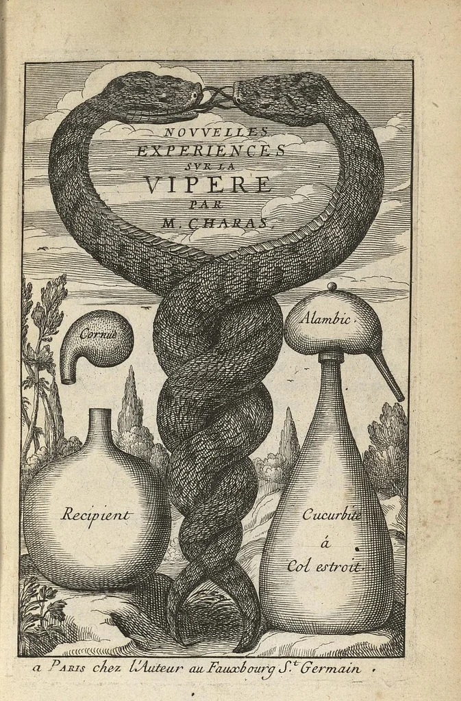 An illustration from Nouvelles experiences sur la vipere, ou l'on verra une description exacte de toutes ses parties, la source de son venin, ses divers effets, et les remedes exquis que les artistes peuvent tirer de la vipere..., 1669, leaf 8