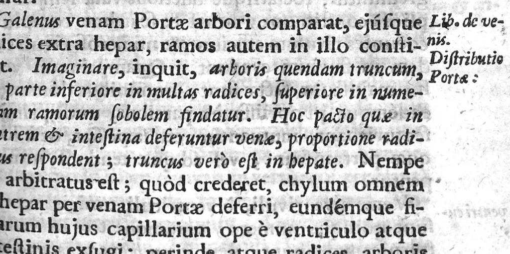 An illustration from Anatomia hepatis cui praemittuntur quidam ad rem anatomicam universae spectantia, 1654, leaf 284