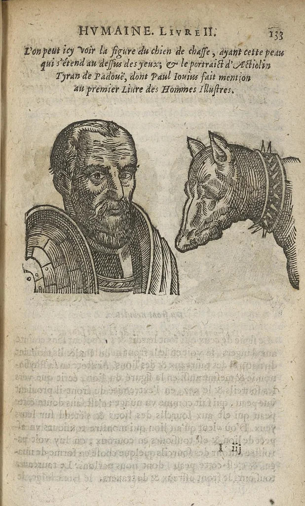An illustration from La physionomie humaine de Jean Baptiste Porta...diviséee en quatre livres...premiere edition, 1655, leaf 152