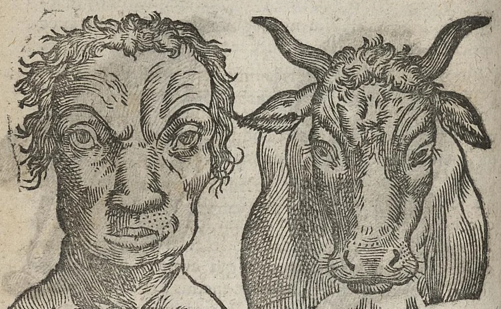 An illustration from La physionomie humaine de Jean Baptiste Porta...diviséee en quatre livres...premiere edition, 1655, leaf 183