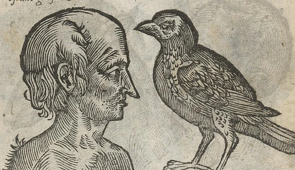 An illustration from La physionomie humaine de Jean Baptiste Porta...diviséee en quatre livres...premiere edition, 1655, leaf 186