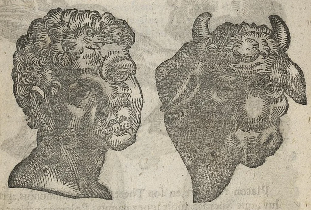 An illustration from La physionomie humaine de Jean Baptiste Porta...diviséee en quatre livres...premiere edition, 1655, leaf 192