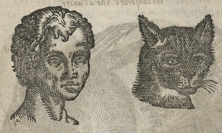 An illustration from La physionomie humaine de Jean Baptiste Porta...diviséee en quatre livres...premiere edition, 1655, leaf 204