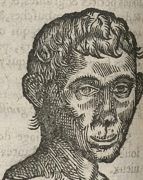 An illustration from La physionomie humaine de Jean Baptiste Porta...diviséee en quatre livres...premiere edition, 1655, leaf 215