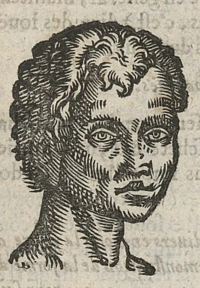 An illustration from La physionomie humaine de Jean Baptiste Porta...diviséee en quatre livres...premiere edition, 1655, leaf 216