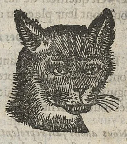 An illustration from La physionomie humaine de Jean Baptiste Porta...diviséee en quatre livres...premiere edition, 1655, leaf 216