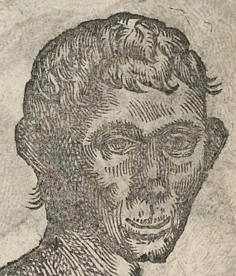 An illustration from La physionomie humaine de Jean Baptiste Porta...diviséee en quatre livres...premiere edition, 1655, leaf 240