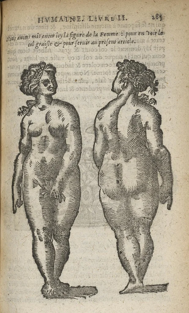 An illustration from La physionomie humaine de Jean Baptiste Porta...diviséee en quatre livres...premiere edition, 1655, leaf 304