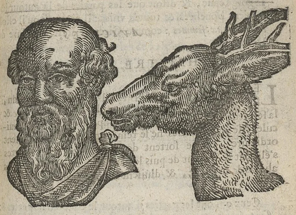 An illustration from La physionomie humaine de Jean Baptiste Porta...diviséee en quatre livres...premiere edition, 1655, leaf 316