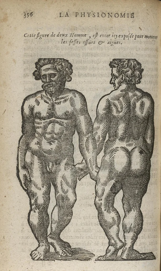 An illustration from La physionomie humaine de Jean Baptiste Porta...diviséee en quatre livres...premiere edition, 1655, leaf 371