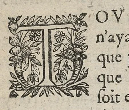 An illustration from La physionomie humaine de Jean Baptiste Porta...diviséee en quatre livres...premiere edition, 1655, leaf 6
