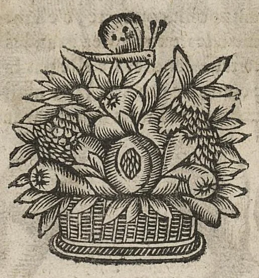 An illustration from La physionomie humaine de Jean Baptiste Porta...diviséee en quatre livres...premiere edition, 1655, leaf 63