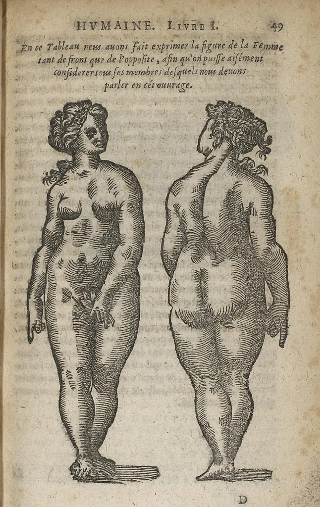An illustration from La physionomie humaine de Jean Baptiste Porta...diviséee en quatre livres...premiere edition, 1655, leaf 68