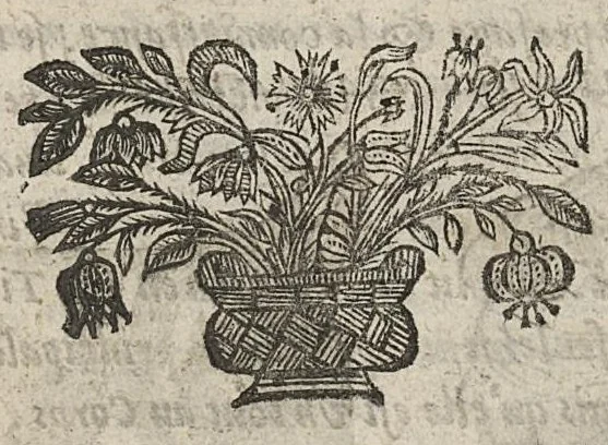 An illustration from La physionomie humaine de Jean Baptiste Porta...diviséee en quatre livres...premiere edition, 1655, leaf 88