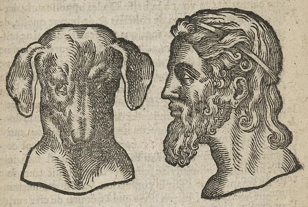 An illustration from La physionomie humaine de Jean Baptiste Porta...diviséee en quatre livres...premiere edition, 1655, leaf 92