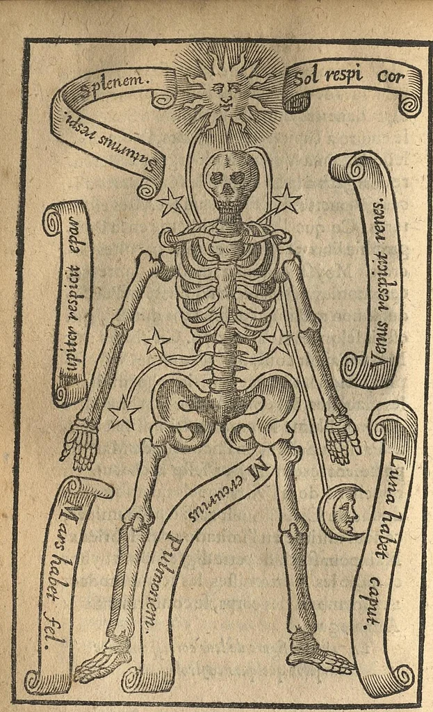 An illustration from Les Oeuvres...contenant la chiromence, physionomie, l'art de memoyre de Raymond Lulle ; traicté des divinations ; augures & songes...derniere edition, reveue,.., 1640, leaf 73