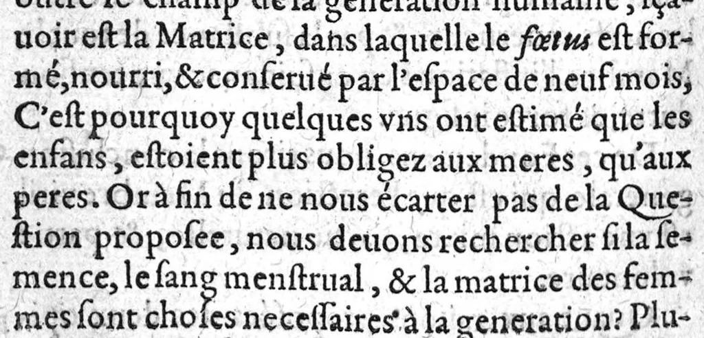 An illustration from Questions en chirurgie sur les œuvres de Maistre Guy de Chauliac, divisee en trois parties, 1604, leaf 317