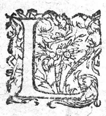 An illustration from De la lycanthropie, transformation et extase des sorciers...., 1615, leaf 65