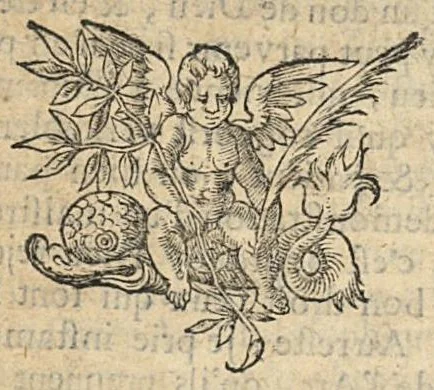 An illustration from Cosmopolite ou nouvelle lumiere de la phisique naturelle. Traittant de la constitution generale des elemens simples & des composez ; trad; nouvellement de latin en françois par le sieur de Bosnay..., 1639, leaf 11