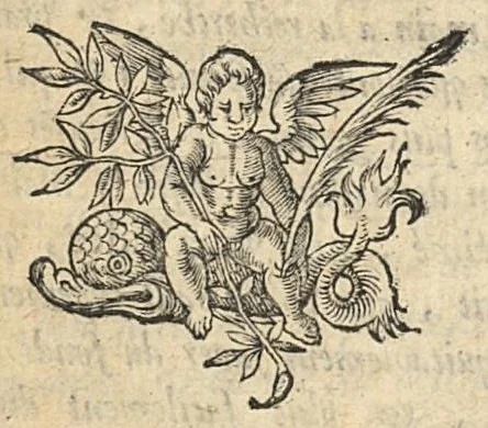 An illustration from Cosmopolite ou nouvelle lumiere de la phisique naturelle. Traittant de la constitution generale des elemens simples & des composez ; trad; nouvellement de latin en françois par le sieur de Bosnay..., 1639, leaf 5