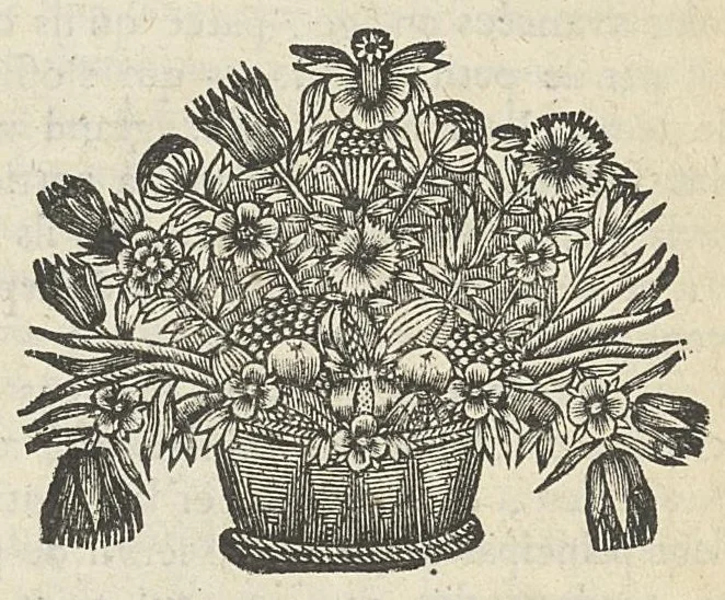 An illustration from L'anatomie de l'homme suivant la circulation du sang, & les dernières découvertes, démontrées au Jardin royal..., 1690, leaf 175