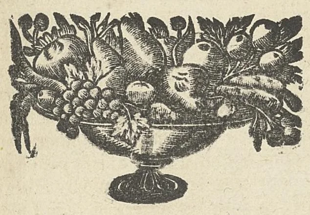 An illustration from L'anatomie de l'homme suivant la circulation du sang, & les dernières découvertes, démontrées au Jardin royal..., 1690, leaf 204