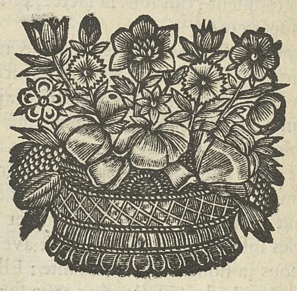 An illustration from L'anatomie de l'homme suivant la circulation du sang, & les dernières découvertes, démontrées au Jardin royal..., 1690, leaf 273