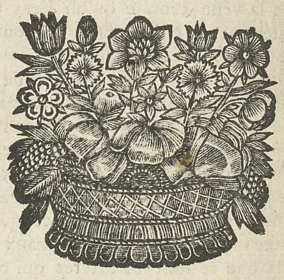An illustration from L'anatomie de l'homme suivant la circulation du sang, & les dernières découvertes, démontrées au Jardin royal..., 1690, leaf 381
