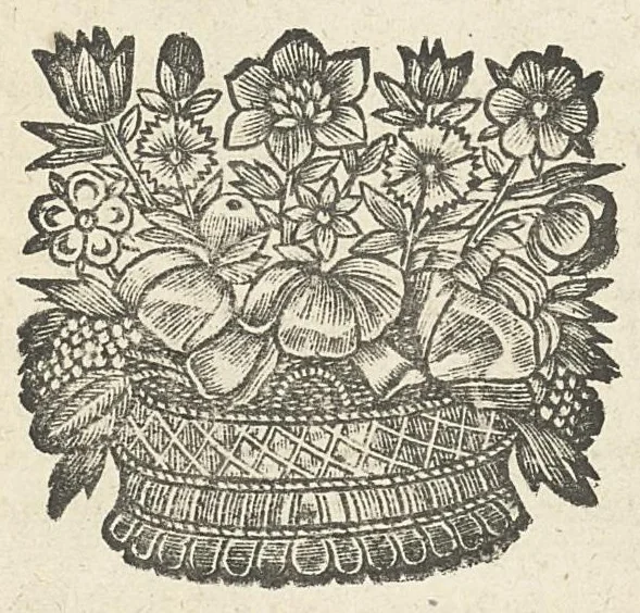 An illustration from L'anatomie de l'homme suivant la circulation du sang, & les dernières découvertes, démontrées au Jardin royal..., 1690, leaf 558