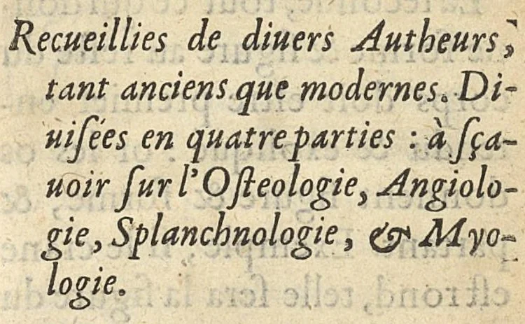 An illustration from Questions anatomiques, recueillies de divers autheurs, divisées en quatre parties, 1648, leaf 12