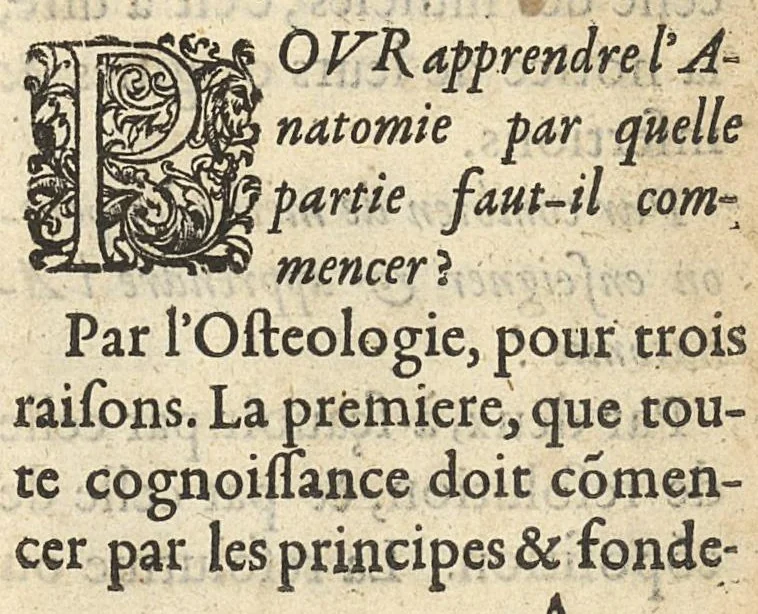 An illustration from Questions anatomiques, recueillies de divers autheurs, divisées en quatre parties, 1648, leaf 12