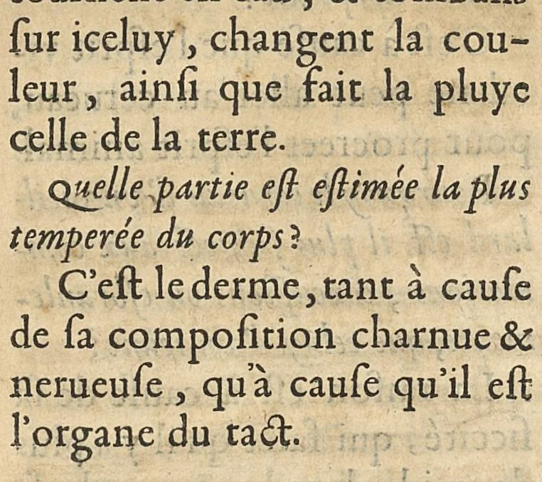An illustration from Questions anatomiques, recueillies de divers autheurs, divisées en quatre parties, 1648, leaf 229