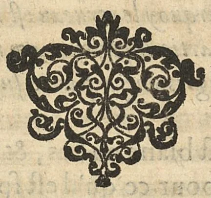 An illustration from Questions anatomiques, recueillies de divers autheurs, divisées en quatre parties, 1648, leaf 229