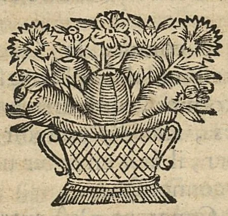 An illustration from Les administrations anatomiques, et lamyologie...troisieme edition, 1688, leaf 334
