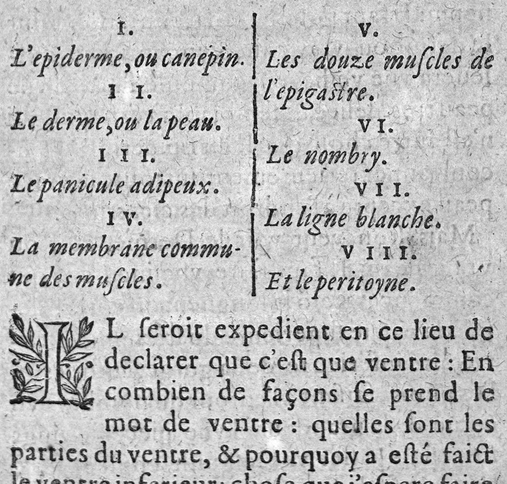 An illustration from Semaine ou practique anatomique. Par laquelle est enseigné par leçons le moyen de des-assembler les parties du corps humain..., 1631, leaf 23