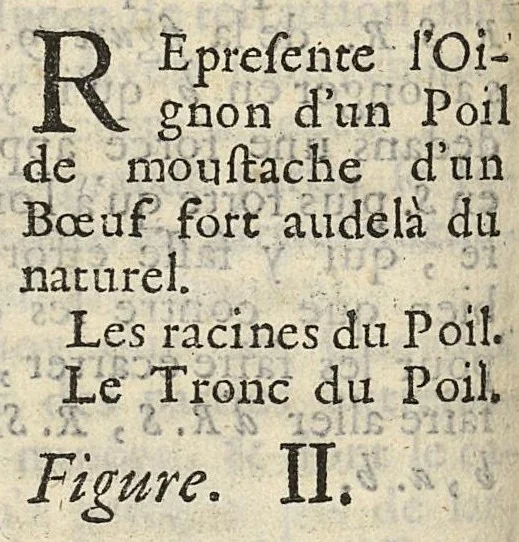 An illustration from Extrait d'une lettre écrite à Mr. Regis l'un des quatre commis pour le Journal des Sçavans. Sur la structure des cheveux, 1688, leaf 127