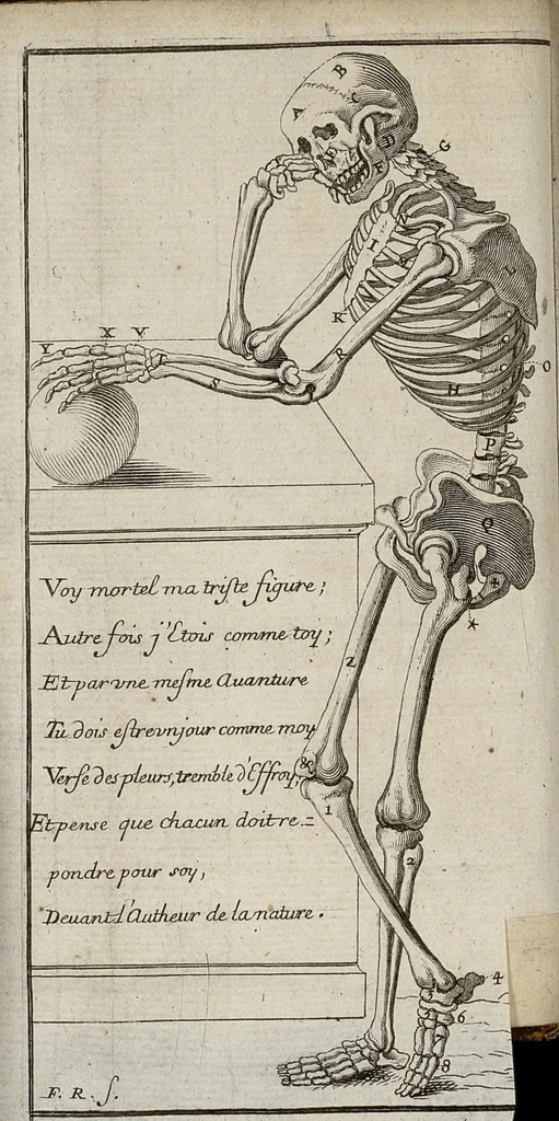 An illustration from Nouvelle histoire des os, selon les anciens et les modernes enrichie de vers. Divisée en deux parties, 1685, leaf 23