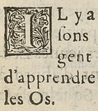 An illustration from Nouvelle histoire des os, selon les anciens et les modernes enrichie de vers. Divisée en deux parties, 1685, leaf 30