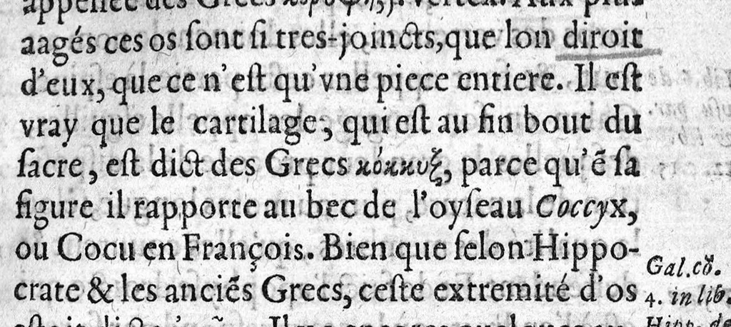 An illustration from Osteologie ou histoire generale des os du corps humain, 1604, leaf 302