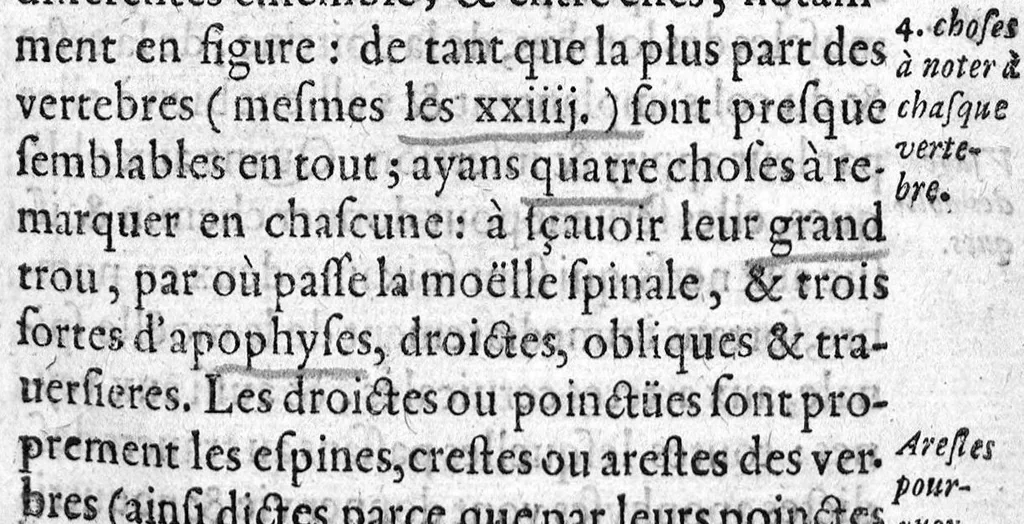 An illustration from Osteologie ou histoire generale des os du corps humain, 1604, leaf 302