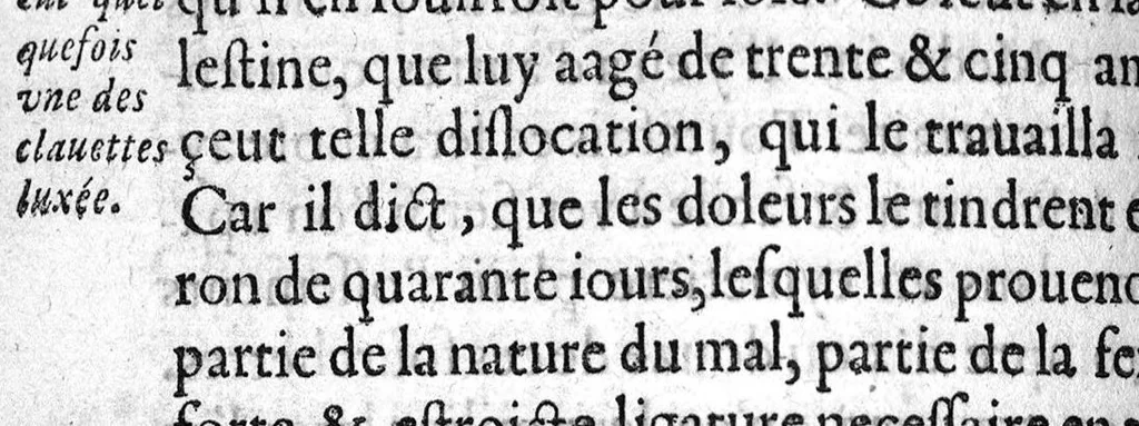 An illustration from Osteologie ou histoire generale des os du corps humain, 1604, leaf 397