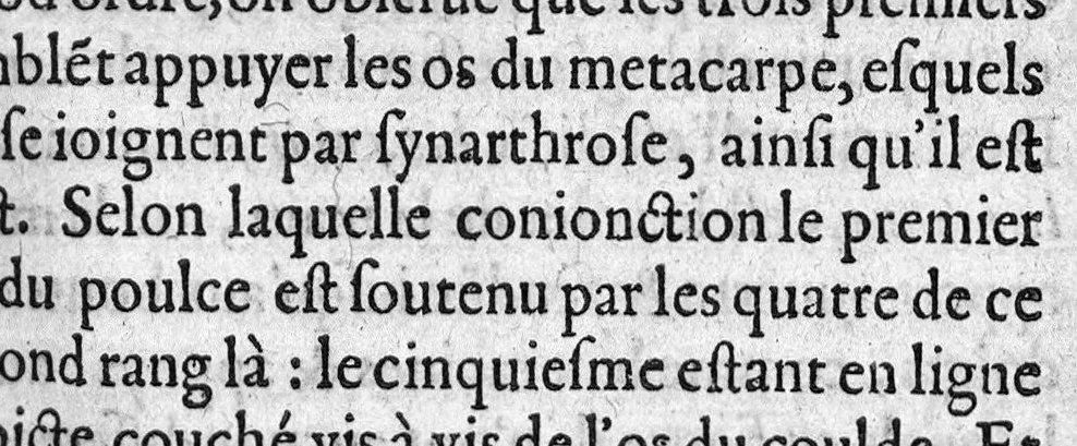 An illustration from Osteologie ou histoire generale des os du corps humain, 1604, leaf 436