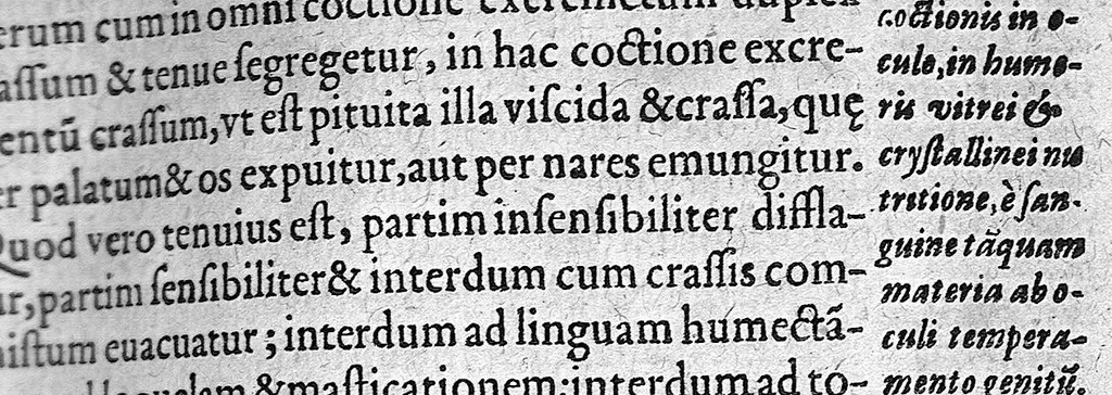 An illustration from Caspari Bauhini Basileensis Theatrum Anatomicum, 1605, leaf 728
