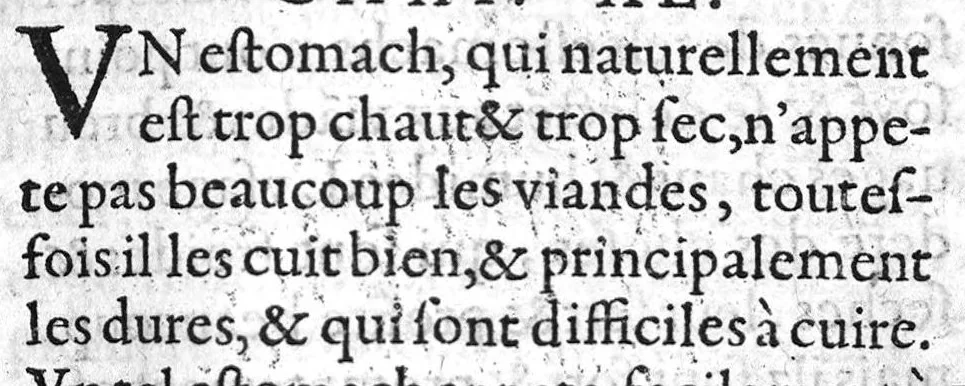 An illustration from Des natures et complexions des hommes, et d’une chacune partie d’iceux et aussi des signes par lesquels on peut discerner la diversité d’icelles. Œuvre tres-utile aux Chirurgiens, et à tous ceux, qui desirent sçavoir leur Nature et complexion. Par M. Jaques Aubert Vandomois, Medecin, 1571, leaf 128