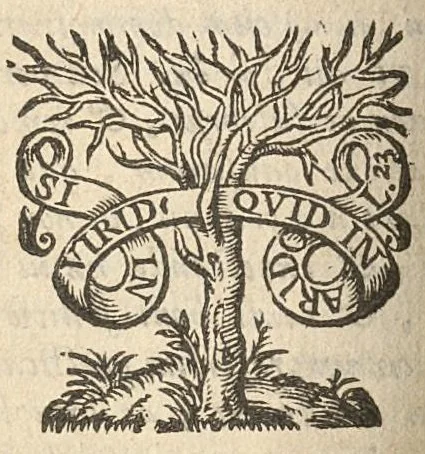 An illustration from Tractatus de motu sanguinis eiusque circulatione vera, ex doctrina Hippocratis, 1652, leaf 73