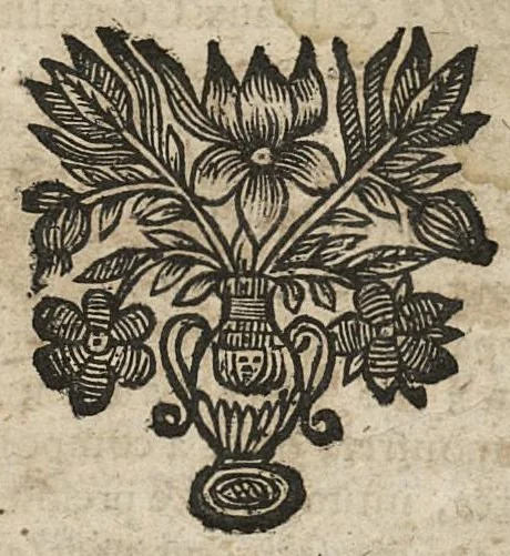 An illustration from Questions nouvelles sur la sanguification et circulation du sang, 1666, leaf 14