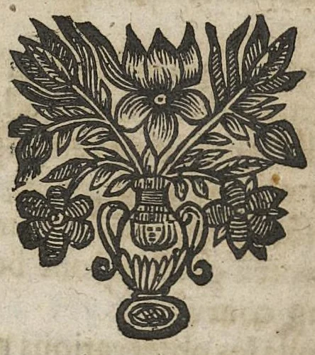 An illustration from Questions nouvelles sur la sanguification et circulation du sang, 1666, leaf 171