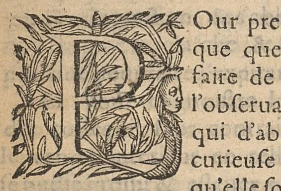 An illustration from Les veritez anatomiques et chirurgicales des organes de la respiration..., 1639, leaf 135
